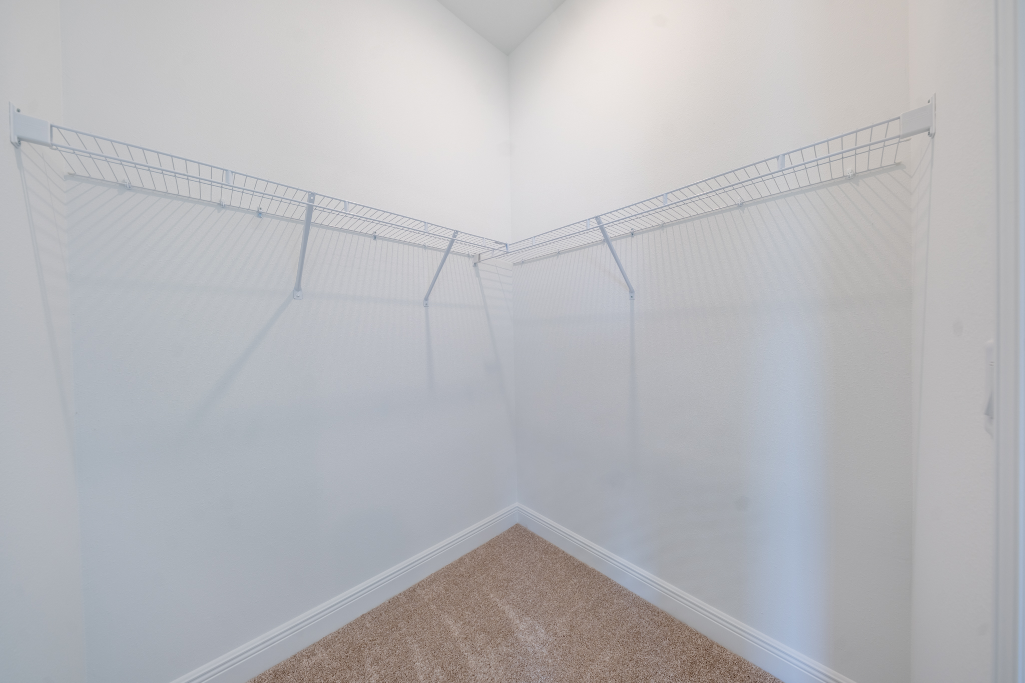 Walk-in closet with wire shelving and carpeted floor