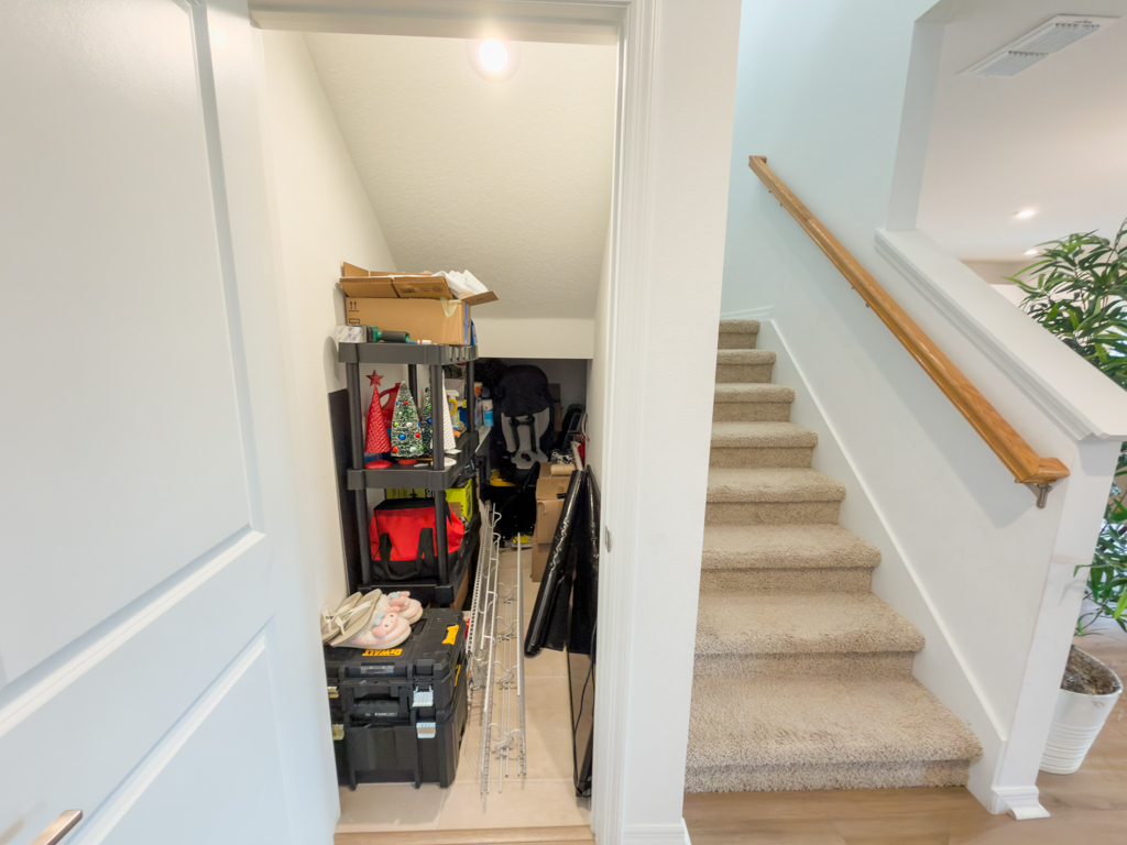 Under-stair storage closet with shelving next to carpeted staircase